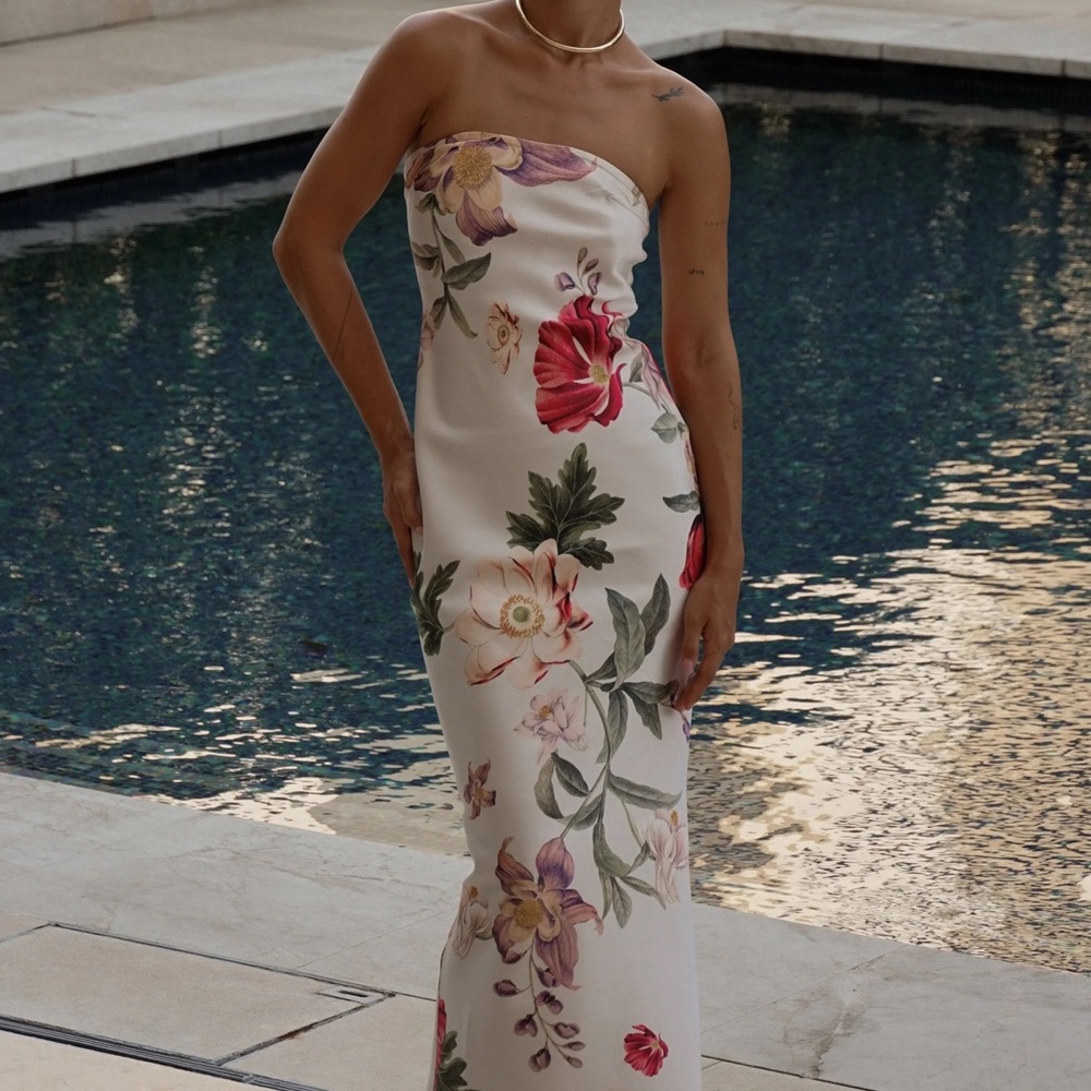 Like New Meshki Dress